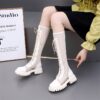 Newness Summer Solstice Mesh Knee High Boots Stylish mesh knee high boots perfect for summer Showcasing the intricate mesh pattern and flattering silhouette